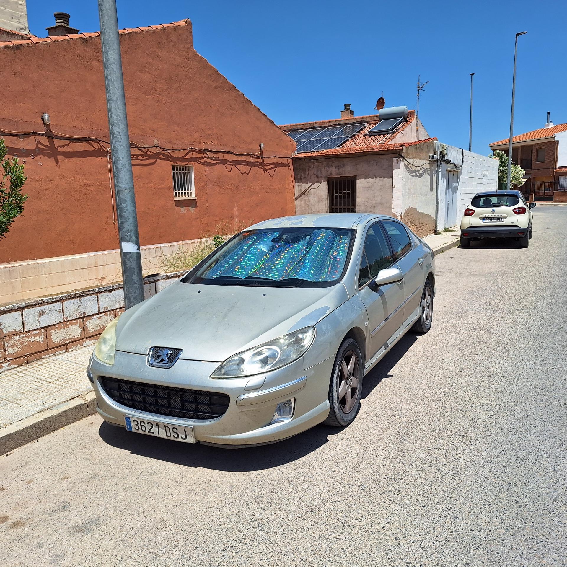 Foto 6 de Peugeot 407