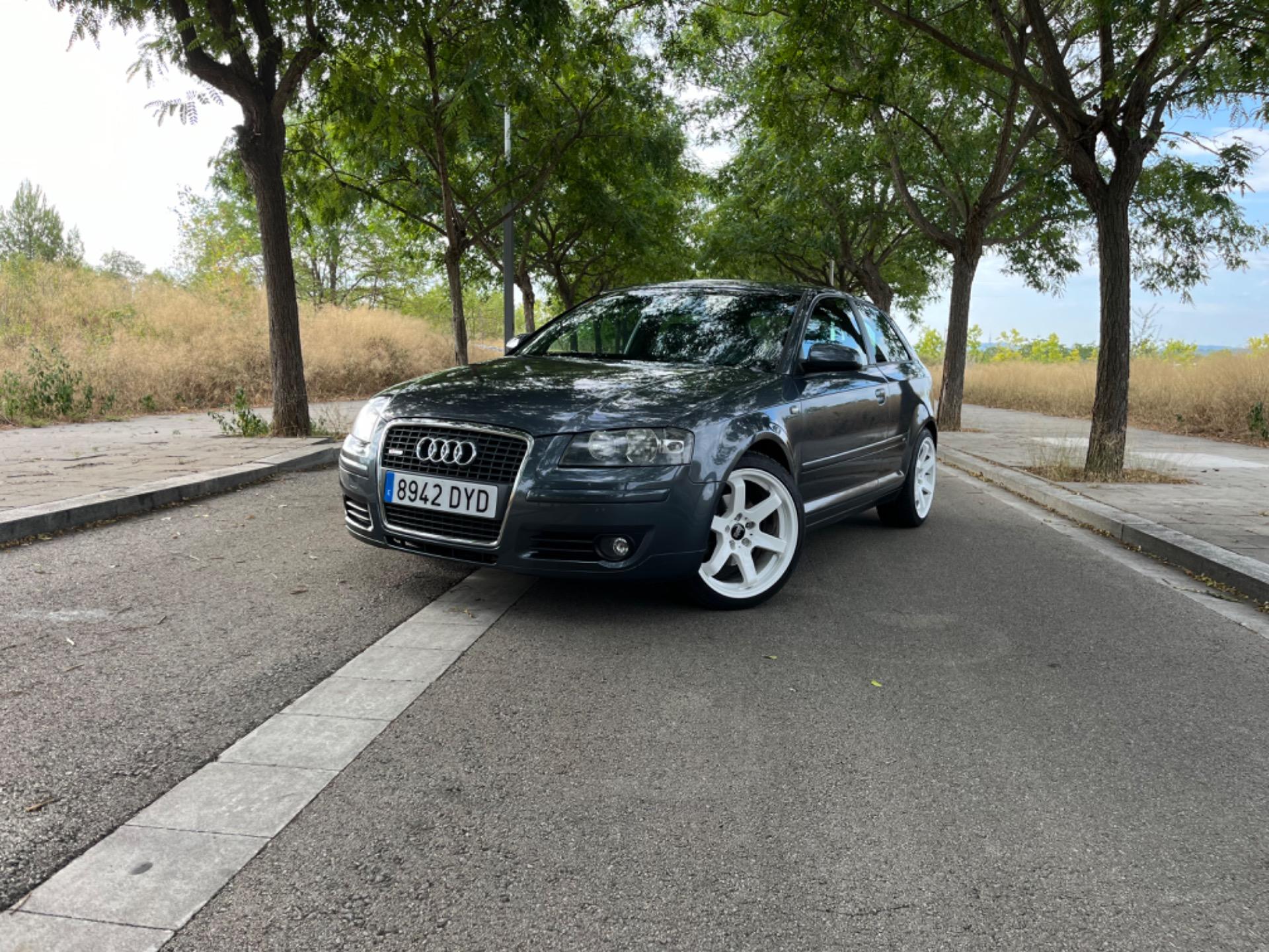 Foto de Audi A3 8P 1.6 FSI