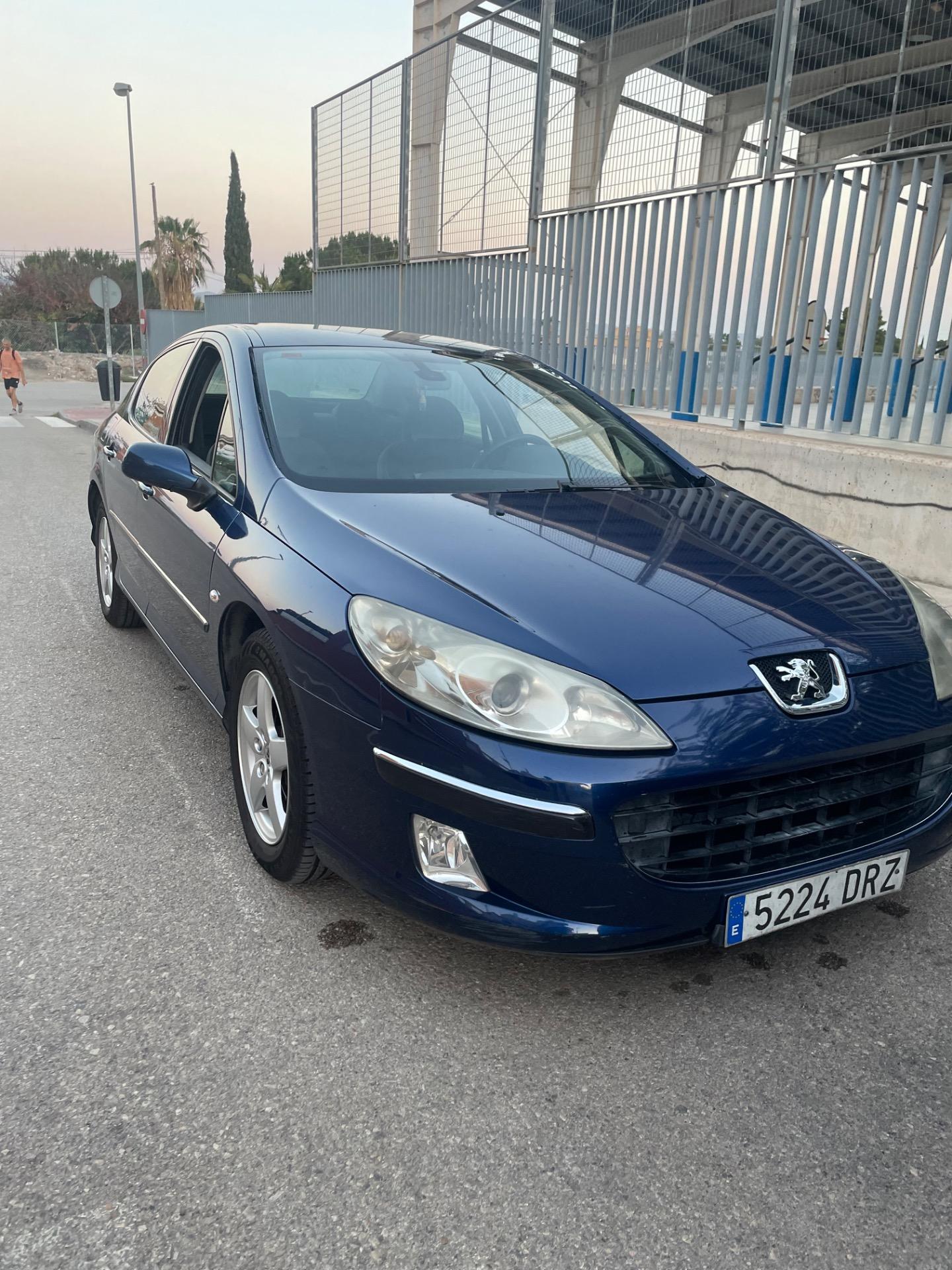 Foto 5 de Peugeot 407