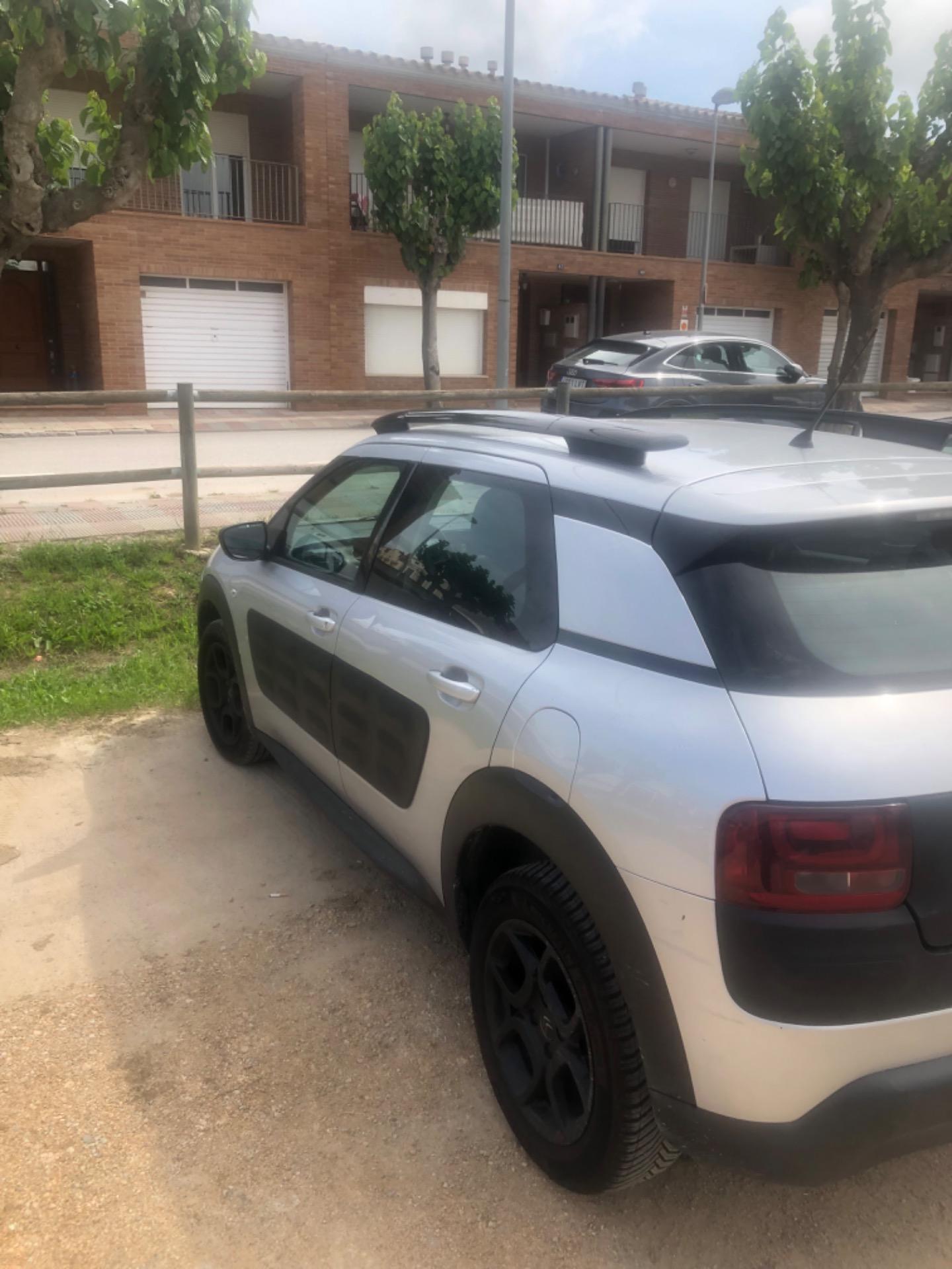 Foto 5 de Citroen C4 cactus 5p