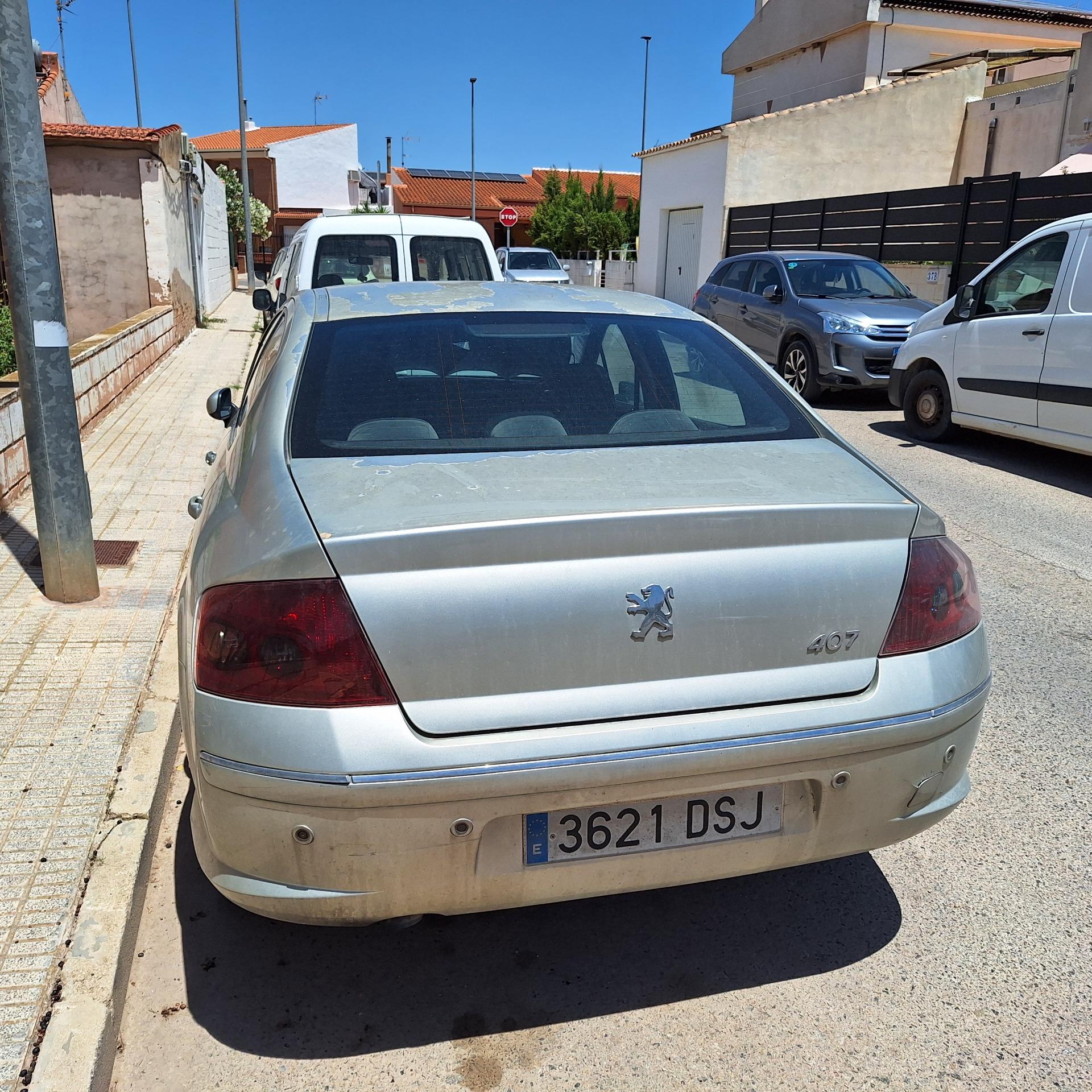 Foto 5 de Peugeot 407