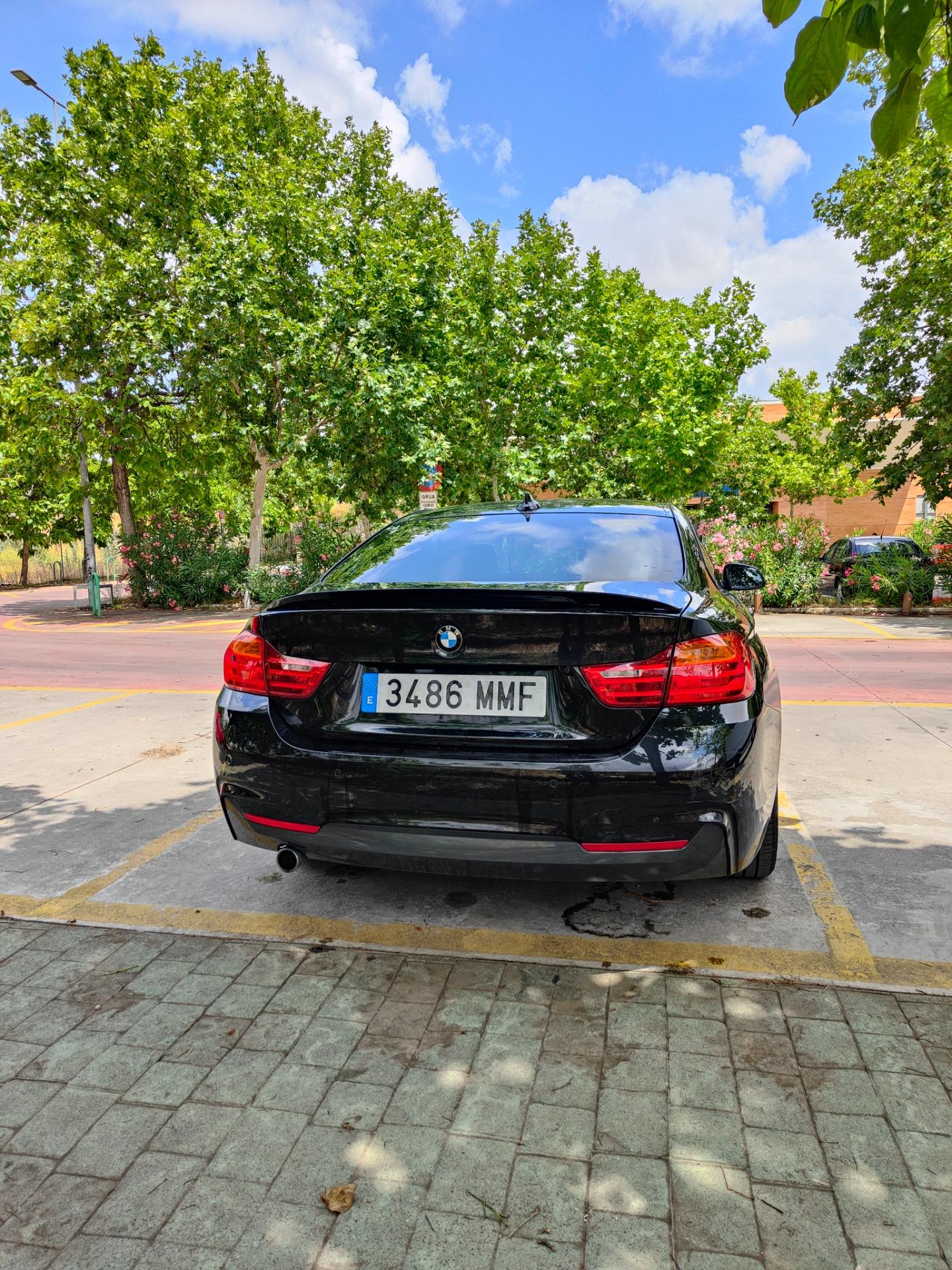 Foto 3 de BMW 420d auto coupe 2014