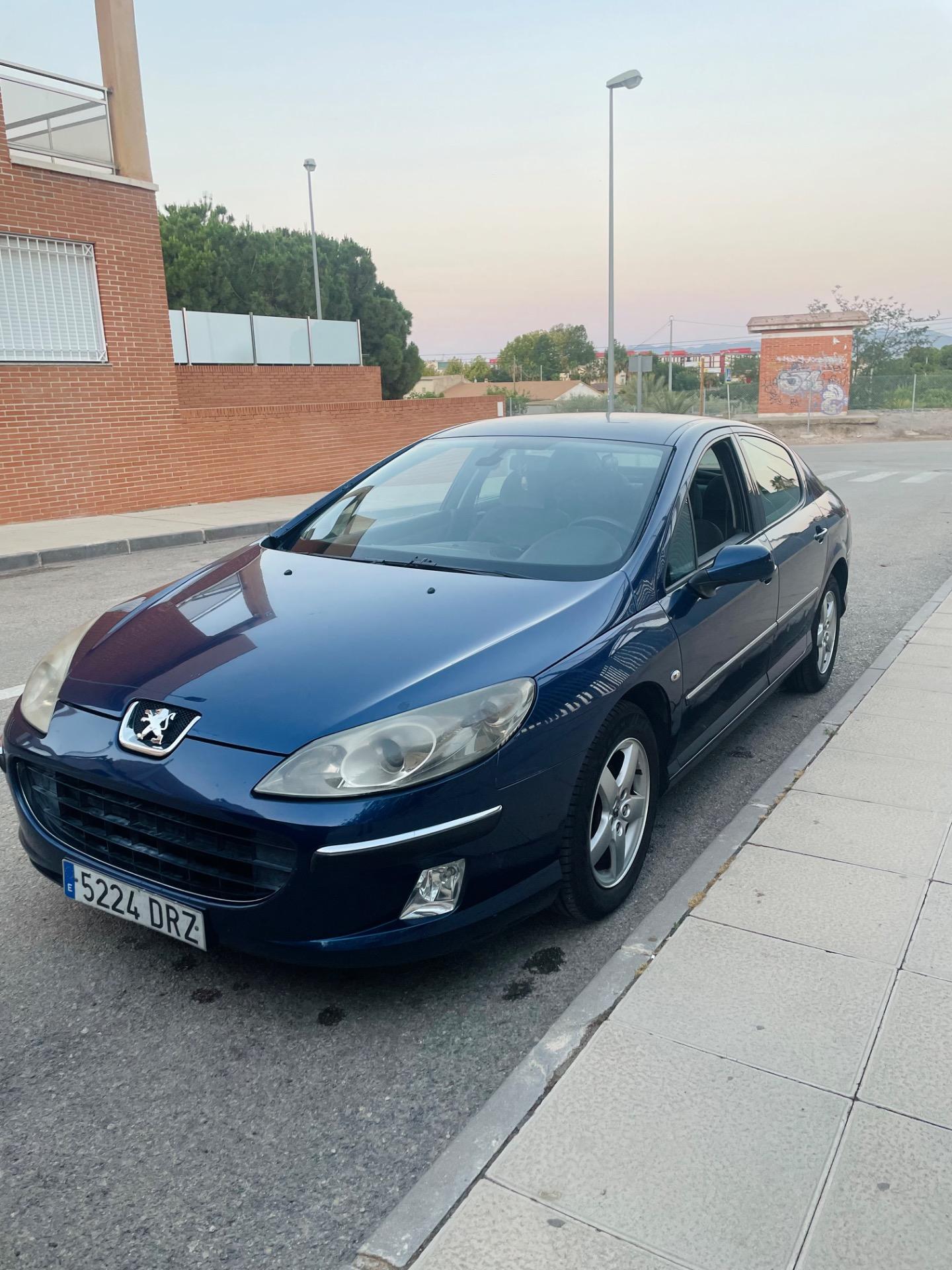 Foto de Peugeot 407