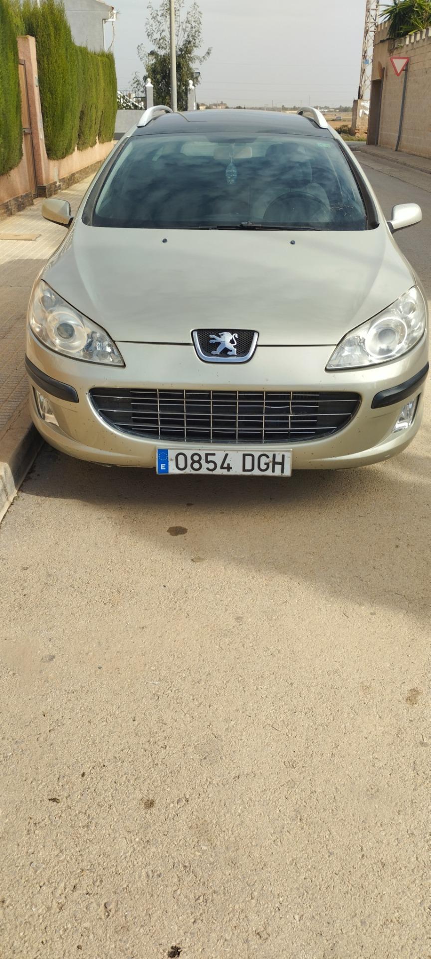 Foto de Peugeot 407 SW