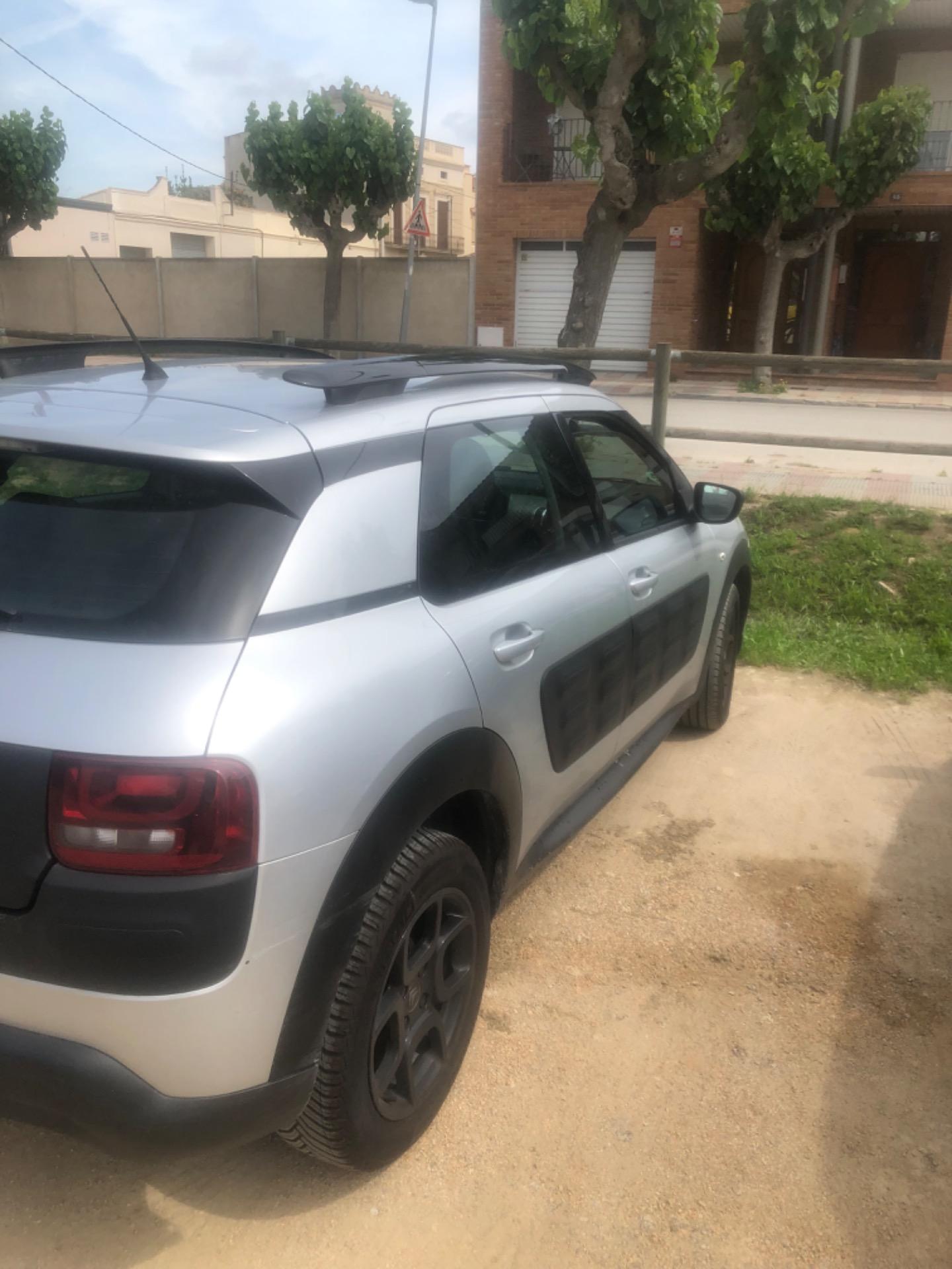 Foto 4 de Citroen C4 cactus 5p