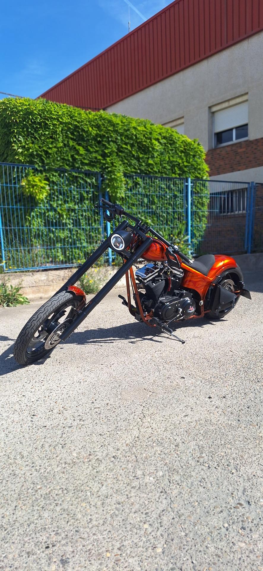 Foto 6 de Harley davidson 