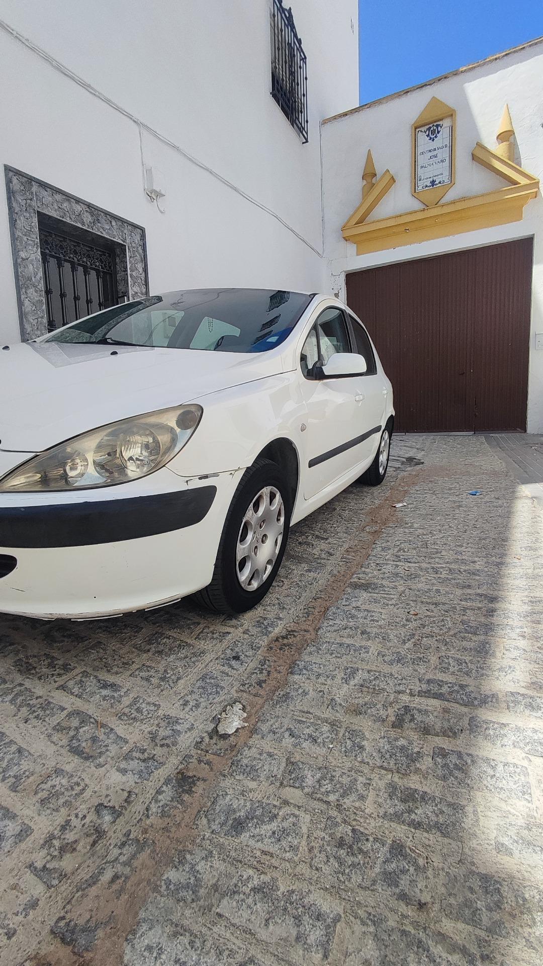 Foto 6 de Peugeot 307