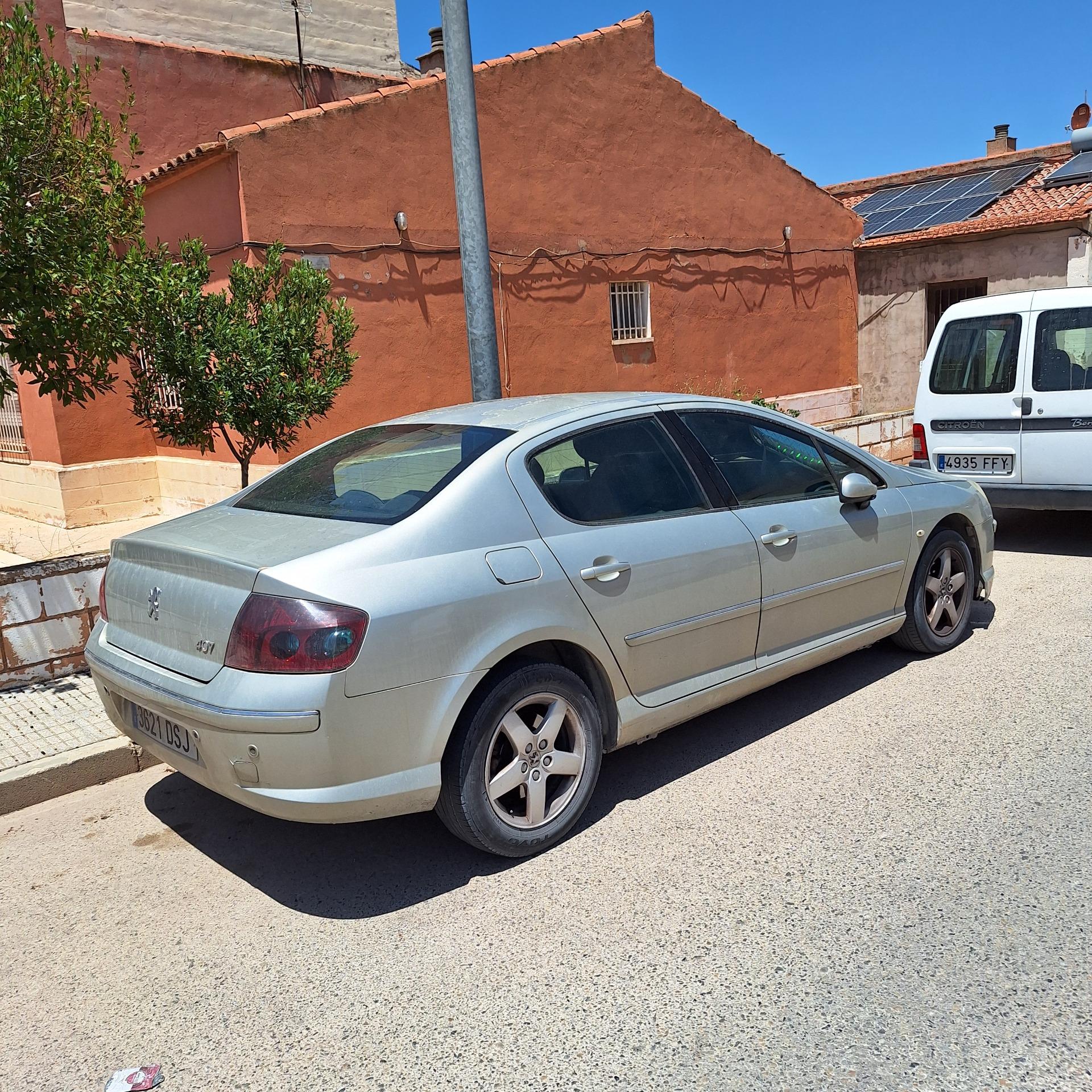 Foto 4 de Peugeot 407